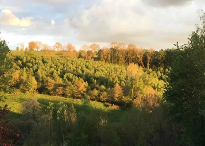 Duplex Avec Superbe Vue Boisee